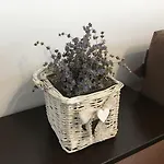 Elegantza Διαμέρισμα