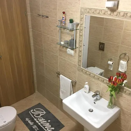 Elegantza Apartment Brasov