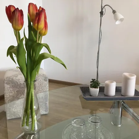 Apartment Elegantza *