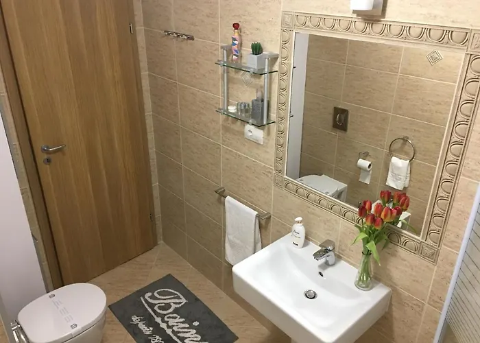 Elegantza Apartment Brasov