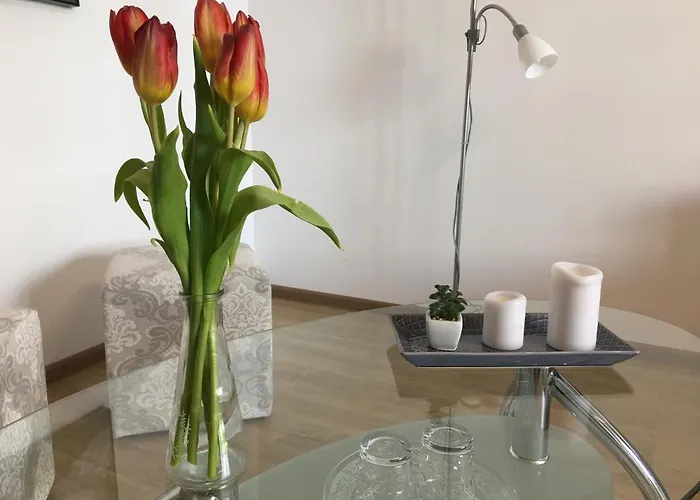 Apartment Elegantza *